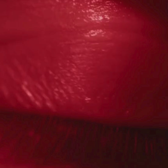 Du hättest das Buch nicht lesen sollen Video