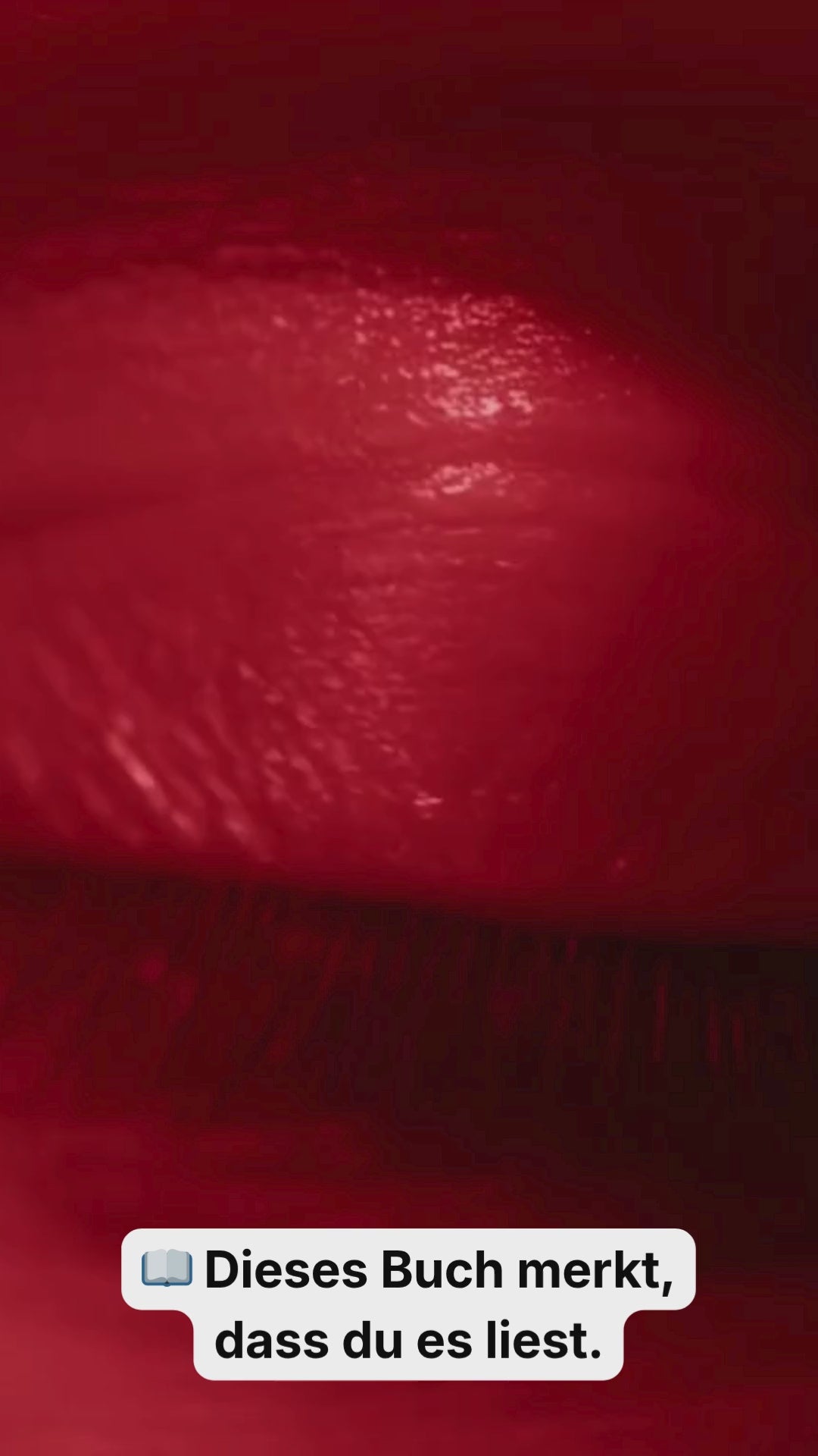 Du hättest das Buch nicht lesen sollen Video