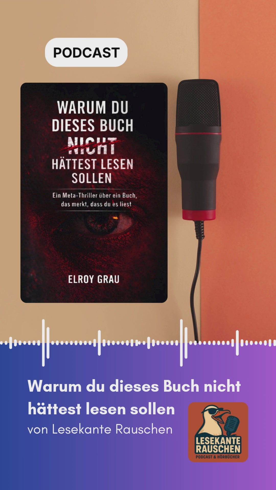 Warum du dieses Buch nicht hättest lesen sollen Podcast Video