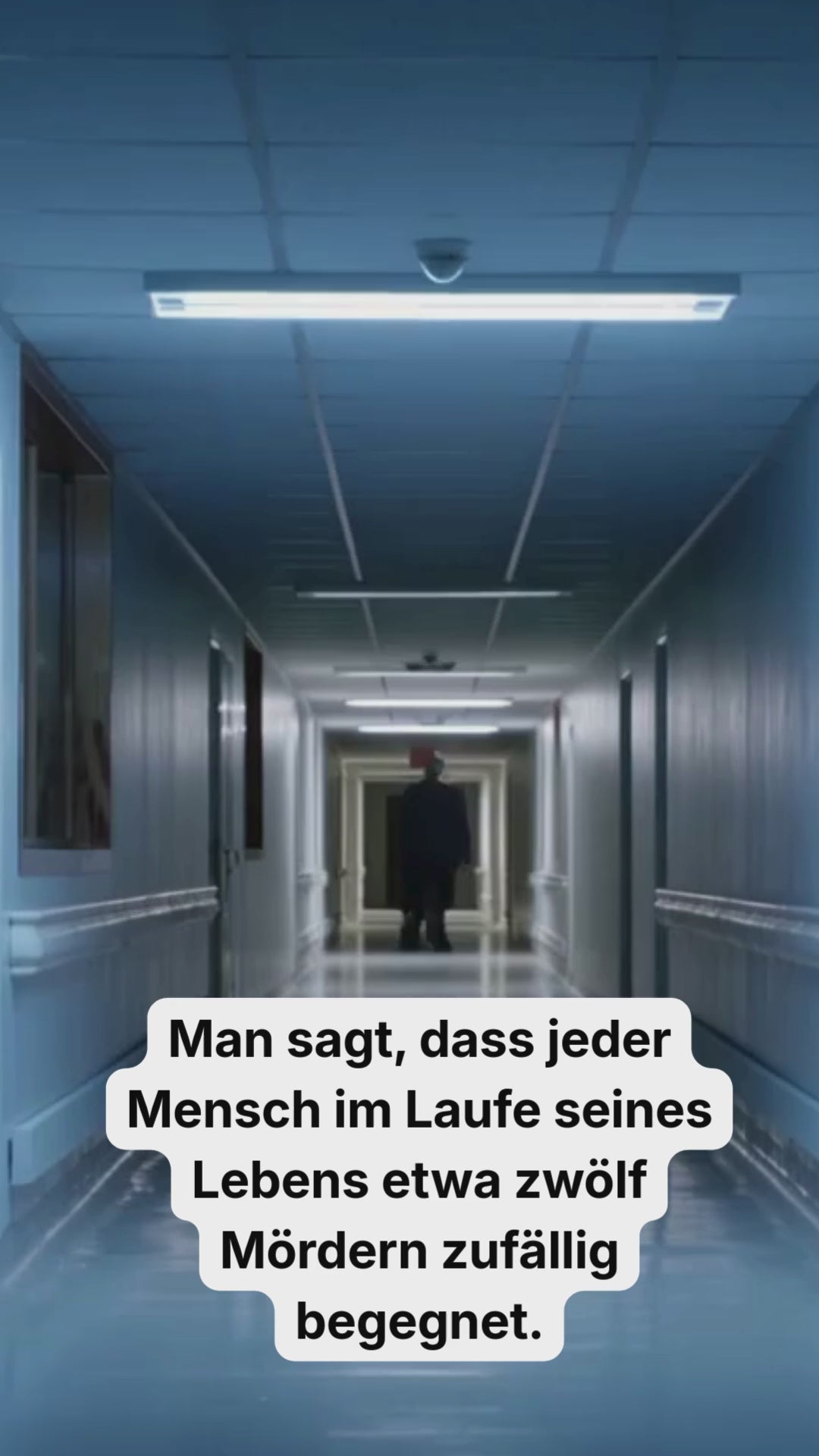 Die Zwölf Video 01