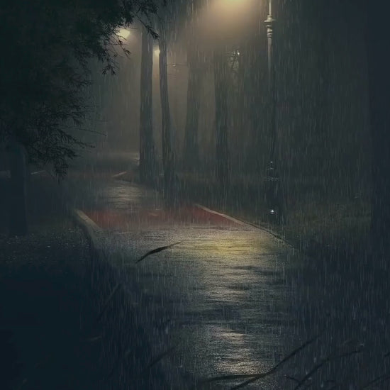 Perfekte Mord Video01